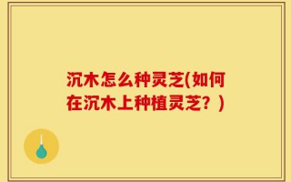 沉木怎么种灵芝(如何在沉木上种植灵芝？)