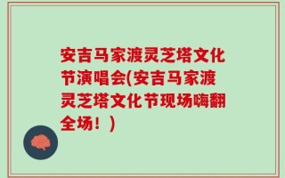 安吉马家渡灵芝塔文化节演唱会(安吉马家渡灵芝塔文化节现场嗨翻全场！)