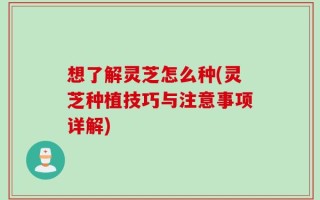 想了解灵芝怎么种(灵芝种植技巧与注意事项详解)
