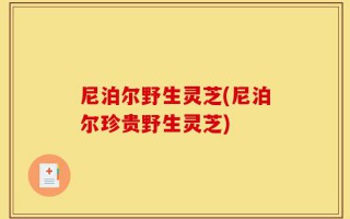 尼泊尔野生灵芝(尼泊尔珍贵野生灵芝)
