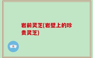 岩前灵芝(岩壁上的珍贵灵芝)