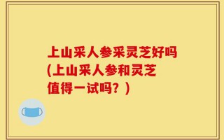 上山采人参采灵芝好吗(上山采人参和灵芝 值得一试吗？)