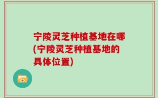 宁陵灵芝种植基地在哪(宁陵灵芝种植基地的具体位置)