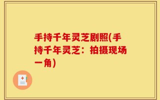 手持千年灵芝剧照(手持千年灵芝：拍摄现场一角)
