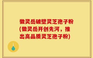 徽灵岳破壁灵芝孢子粉(徽灵岳开创先河，推出高品质灵芝孢子粉)