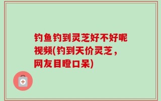 钓鱼钓到灵芝好不好呢视频(钓到天价灵芝，网友目瞪口呆)