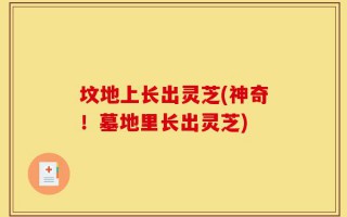 坟地上长出灵芝(神奇！墓地里长出灵芝)