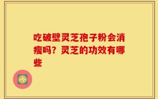 吃破壁灵芝孢子粉会消瘦吗？灵芝的功效有哪些