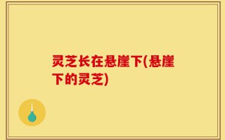 灵芝长在悬崖下(悬崖下的灵芝)