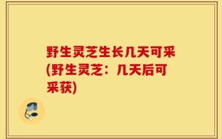 野生灵芝生长几天可采(野生灵芝：几天后可采获)