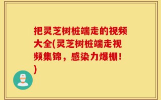 把灵芝树桩端走的视频大全(灵芝树桩端走视频集锦，感染力爆棚！)