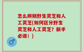 怎么辨别野生灵芝和人工灵芝(如何区分野生灵芝和人工灵芝？新手必读！)