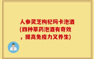 人参灵芝枸杞玛卡泡酒(四种草药泡酒有奇效，提高免疫力又养生)