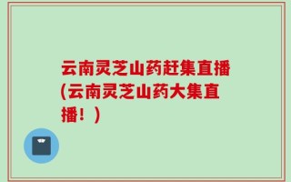 云南灵芝山药赶集直播(云南灵芝山药大集直播！)
