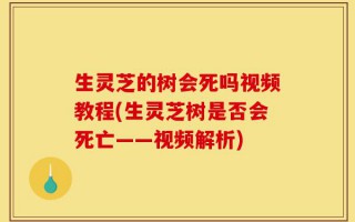 生灵芝的树会死吗视频教程(生灵芝树是否会死亡——视频解析)