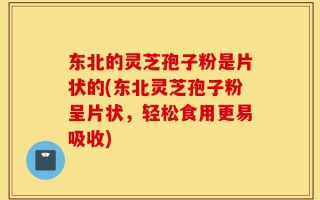 东北的灵芝孢子粉是片状的(东北灵芝孢子粉呈片状，轻松食用更易吸收)