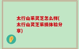 太行山采灵芝怎么样(太行山灵芝采摘体验分享)