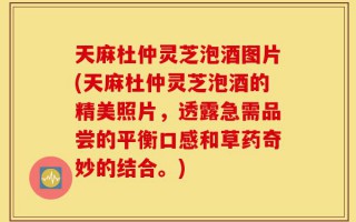 天麻杜仲灵芝泡酒图片(天麻杜仲灵芝泡酒的精美照片，透露急需品尝的平衡口感和草药奇妙的结合。)