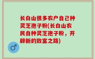 长白山很多农户自己种灵芝孢子粉(长白山农民自种灵芝孢子粉，开辟新的致富之路)