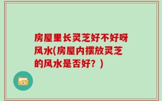 房屋里长灵芝好不好呀风水(房屋内摆放灵芝的风水是否好？)