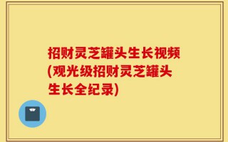 招财灵芝罐头生长视频(观光级招财灵芝罐头生长全纪录)