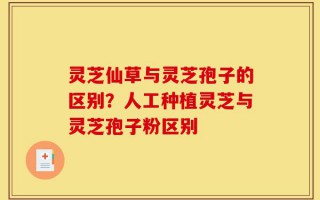灵芝仙草与灵芝孢子的区别？人工种植灵芝与灵芝孢子粉区别