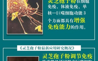 灵芝孢子粉的功效可以提高免疫力吗？