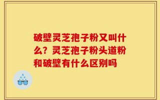 破壁灵芝孢子粉又叫什么？灵芝孢子粉头道粉和破壁有什么区别吗