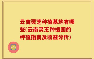 云南灵芝种植基地有哪些(云南灵芝种植园的种植指南及收益分析)