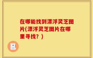 在哪能找到漂浮灵芝图片(漂浮灵芝图片在哪里寻找？)