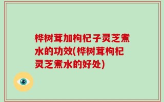 桦树茸加枸杞子灵芝煮水的功效(桦树茸枸杞灵芝煮水的好处)