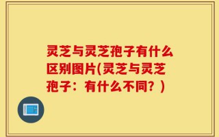 灵芝与灵芝孢子有什么区别图片(灵芝与灵芝孢子：有什么不同？)