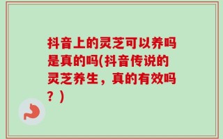 抖音上的灵芝可以养吗是真的吗(抖音传说的灵芝养生，真的有效吗？)