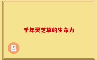千年灵芝草的生命力