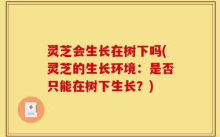灵芝会生长在树下吗(灵芝的生长环境：是否只能在树下生长？)