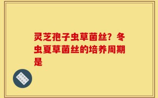 灵芝孢子虫草菌丝？冬虫夏草菌丝的培养周期是