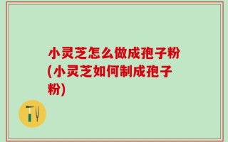 小灵芝怎么做成孢子粉(小灵芝如何制成孢子粉)