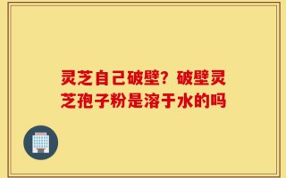 灵芝自己破壁？破壁灵芝孢子粉是溶于水的吗