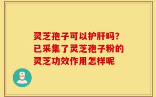 灵芝孢子可以护肝吗？已采集了灵芝孢子粉的灵芝功效作用怎样呢