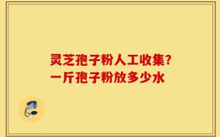 灵芝孢子粉人工收集？一斤孢子粉放多少水