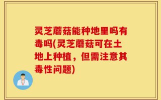 灵芝蘑菇能种地里吗有毒吗(灵芝蘑菇可在土地上种植，但需注意其毒性问题)