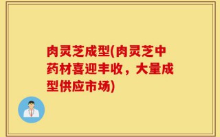 肉灵芝成型(肉灵芝中药材喜迎丰收，大量成型供应市场)