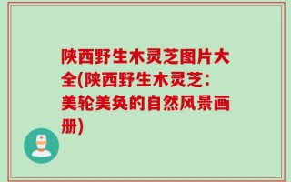 陕西野生木灵芝图片大全(陕西野生木灵芝：美轮美奂的自然风景画册)