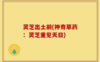 灵芝出土前(神奇草药：灵芝重见天日)