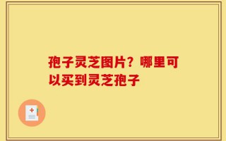 孢子灵芝图片？哪里可以买到灵芝孢子