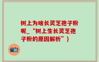 树上为啥长灵芝孢子粉呢_“树上生长灵芝孢子粉的原因解析”)