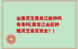 山里灵芝黑龙江能种吗有毒吗(黑龙江山区种植灵芝是否安全？)