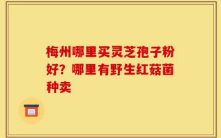 梅州哪里买灵芝孢子粉好？哪里有野生红菇菌种卖