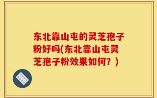 东北靠山屯的灵芝孢子粉好吗(东北靠山屯灵芝孢子粉效果如何？)