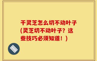 干灵芝怎么切不动叶子(灵芝切不动叶子？这些技巧必须知道！)